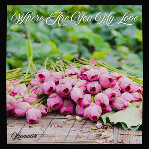 Where Are You My Love - Radio Edit by Kromatik