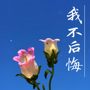 我不后悔 - 烟嗓版 by 梨子芹菜