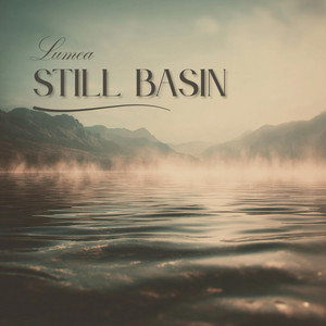 Still Basin by Lumea