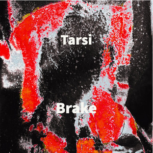 Tarsi - Brake