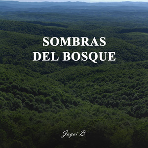 Shadows of the Forest - Acoustic by Dj Jayvi B