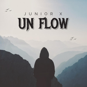Un Flow by Junior X