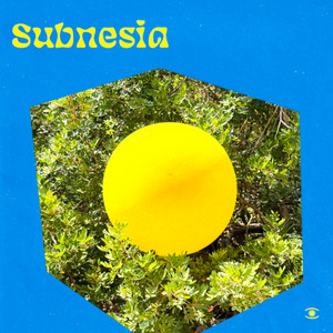 Subnesia — The Truth Is (Discomix) (2026)