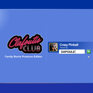 Crazy Pinball - Family Remix Premium Edition