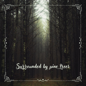 Surrounded by pine trees N° 2 by Existential Antics