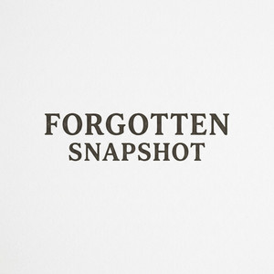 Forgotten Snapshot by DHLI
