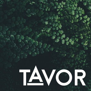 That Old Etta James by Tavor