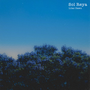 Lilac Dawn by Sol Reya