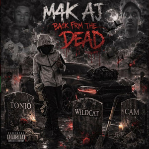 If U Want It (feat. M4C DoFeezy, M4C LilE, Dlo, M4K Lil Grape & LuhCerti) by M4K AJ, M4C DoFeezy, M4C LilE, DLO, M4K Lil Grape, LuhCerti