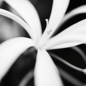 If You Only Knew by Mr zeed