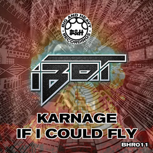 Ibot cover