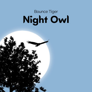 Night Owl by Bounce Tiger
