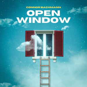 Long Way Down by Connor Bachmann
