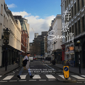 存感情