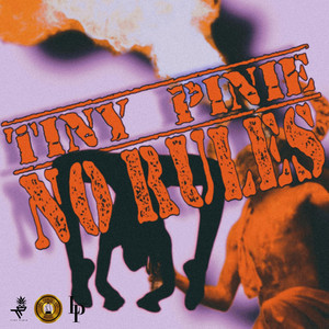 Tiny Pinie - No Rules