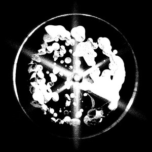 Subsonic Religion - The Cell Divides