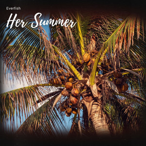 Her Summer - Radio Edit by Everfish
