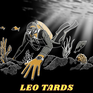 Leo Tards