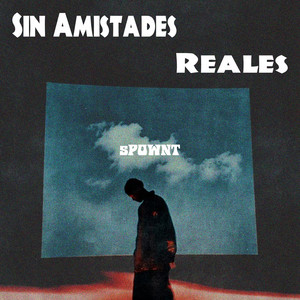 Sin Amistades Reales by sPOWNT