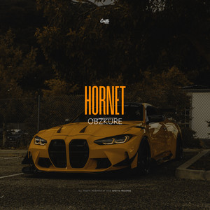 Hornet by Obzkure