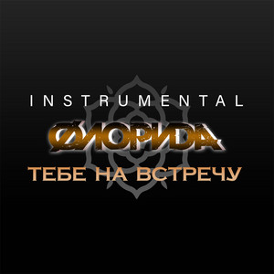 Тебе на встречу (Instrumental) by Флорида