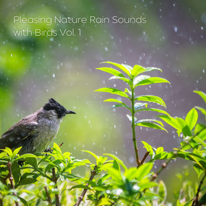 Pleasing Nature Rain Sounds with Birds Vol. 1 album