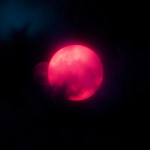 Howl by Caleb Brooks