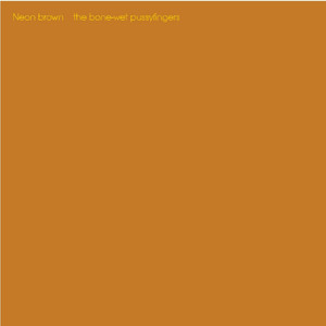 King Gizzard & The Lizard Wizard - Nonagondwana Coffin
