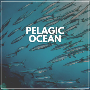 Pelagic Ocean album