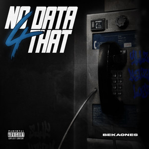 No Data 4 That by Bekaones