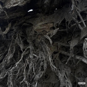 Roots by Webster