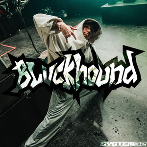 TORN - VIP by BLVCKHOUND
