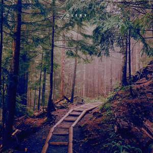 Between the trees