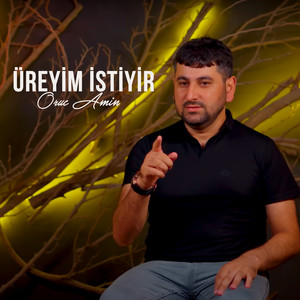 Oruc Amin - Üreyim İstiyir