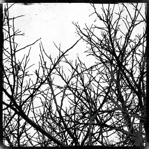 Repeats by Calvora