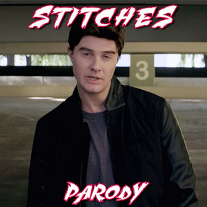 Stitches Parody by Bart Baker