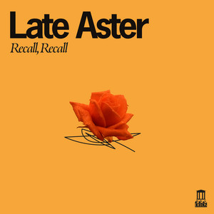 album cover: Recall, Recall