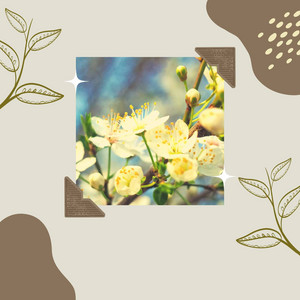 Bgm for Deep Relaxation album
