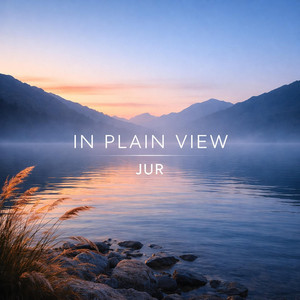 In Plain View by Jur
