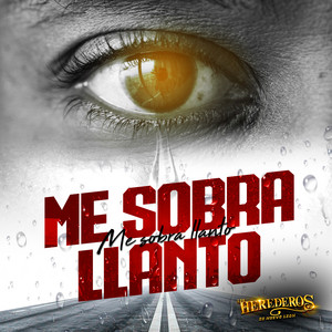 Los Herederos de Nuevo León - Me Sobra Llanto