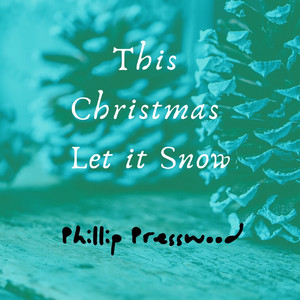 This Christmas Let It Snow