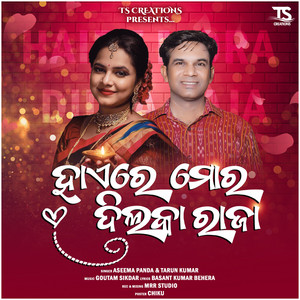 Hayere Mor Dil Ka Raja - song and lyrics by Aseema Panda, TARUN ...
