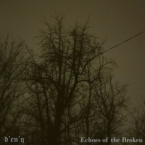 Echoes of the Broken