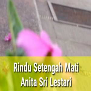 Anita Sri Lestari - Rindu Setengah Mati (feat. Fauziyah Gita Lestari)