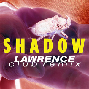 Shadow (Lawrence Club Remix) by Dominique, Lawrence