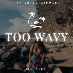 Jay Sint - Too Wavy