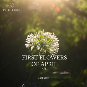 First Flowers Of April by Astraeus