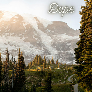 Dope by James Rickards