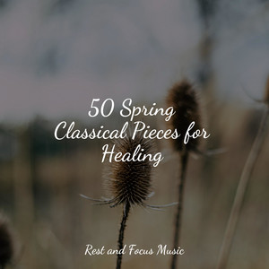 50 Spring Classical Pieces for Healing album