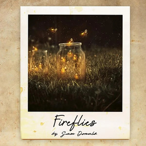 Fireflies by Sam Donald